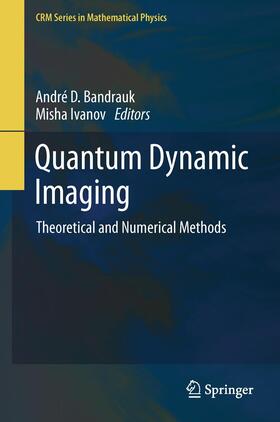 Ivanov / Bandrauk |  Quantum Dynamic Imaging | Buch |  Sack Fachmedien
