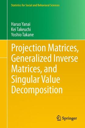 Yanai / Takeuchi / Takane |  Projection Matrices, Generalized Inverse Matrices, and Singular Value Decomposition | Buch |  Sack Fachmedien