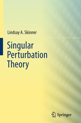 Skinner |  Singular Perturbation Theory | Buch |  Sack Fachmedien