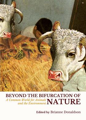 Donaldson |  Beyond the Bifurcation of Nature | Buch |  Sack Fachmedien