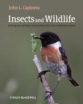 Capinera |  Insects and Wildlife | Buch |  Sack Fachmedien