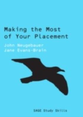 Neugebauer / Evans-Brain |  Making the Most of Your Placement | eBook | Sack Fachmedien