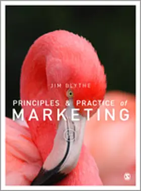 Blythe | Principles and Practice of Marketing | Buch | 978-1-4462-7399-9 | sack.de