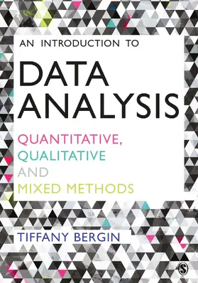 Bergin |  An Introduction to Data Analysis | Buch |  Sack Fachmedien