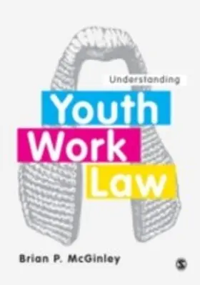 McGinley |  Understanding Youth Work Law | eBook | Sack Fachmedien