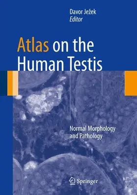 Ježek |  Atlas on the Human Testis | Buch |  Sack Fachmedien