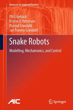 Liljebäck / Gravdahl / Pettersen |  Snake Robots | Buch |  Sack Fachmedien