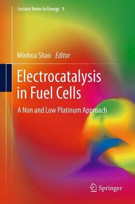 Shao |  Electrocatalysis in Fuel Cells | Buch |  Sack Fachmedien