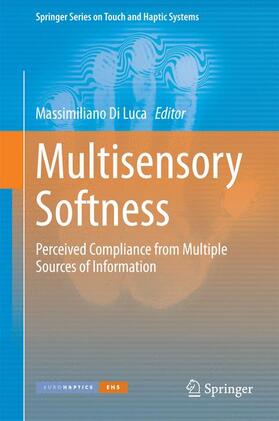 Di Luca |  Multisensory Softness | Buch |  Sack Fachmedien