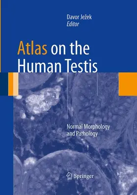 Ježek |  Atlas on the Human Testis | Buch |  Sack Fachmedien