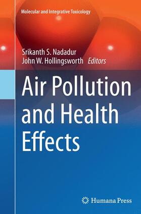 Hollingsworth / Nadadur |  Air Pollution and Health Effects | Buch |  Sack Fachmedien