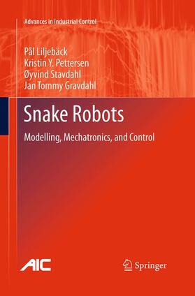 Liljebäck / Gravdahl / Pettersen |  Snake Robots | Buch |  Sack Fachmedien