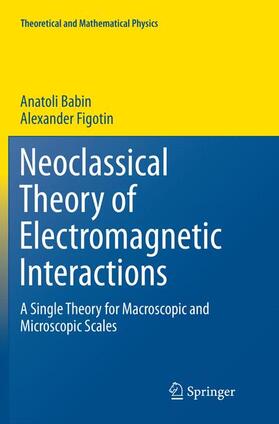 Figotin / Babin |  Neoclassical Theory of Electromagnetic Interactions | Buch |  Sack Fachmedien