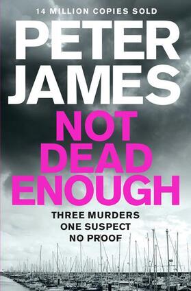 James |  Not Dead Enough | Buch |  Sack Fachmedien