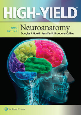 Gould / Fix / Brueckner-Collins |  High-Yield Neuroanatomy | Buch |  Sack Fachmedien