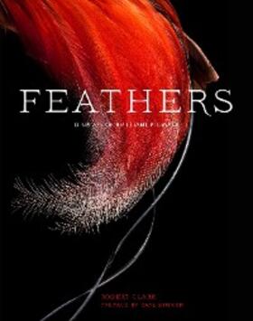  Feathers | eBook | Sack Fachmedien