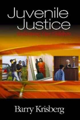 Krisberg |  Juvenile Justice | eBook | Sack Fachmedien