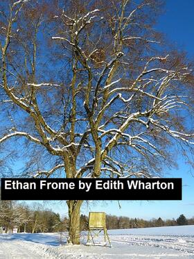 Wharton |  Ethan Frome | eBook | Sack Fachmedien