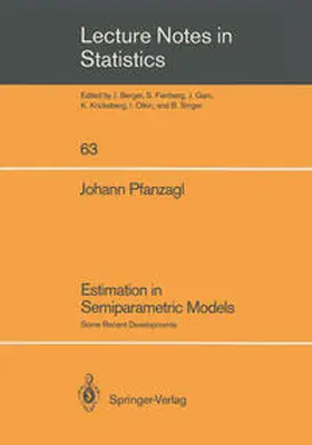 Pfanzagl |  Estimation in Semiparametric Models | eBook | Sack Fachmedien