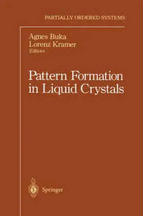 Buka / Kramer |  Pattern Formation in Liquid Crystals | eBook | Sack Fachmedien