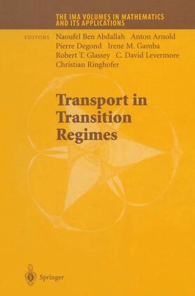 Naoufel / Arnold / Degond |  Transport in Transition Regimes | Buch |  Sack Fachmedien