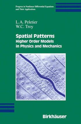 Troy / Peletier |  Spatial Patterns | Buch |  Sack Fachmedien