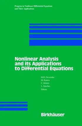 Grossinho / Sanchez / Ramos |  Nonlinear Analysis and its Applications to Differential Equations | Buch |  Sack Fachmedien