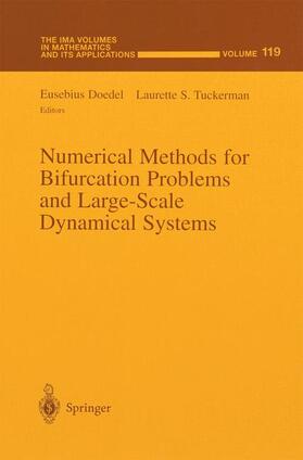 Tuckerman / Doedel |  Numerical Methods for Bifurcation Problems and Large-Scale Dynamical Systems | Buch |  Sack Fachmedien