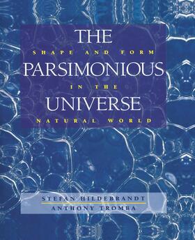 Tromba / Hildebrandt |  The Parsimonious Universe | Buch |  Sack Fachmedien