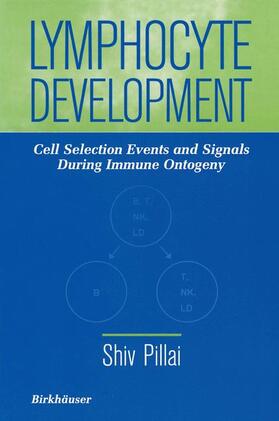 Pillai |  Lymphocyte Development | Buch |  Sack Fachmedien