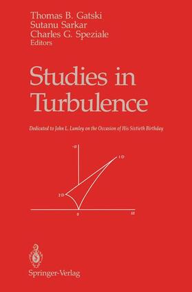 Gatski / Speziale / Sarkar |  Studies in Turbulence | Buch |  Sack Fachmedien