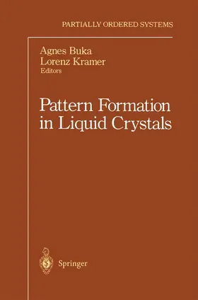 Kramer / Buka | Pattern Formation in Liquid Crystals | Buch | 978-1-4612-8464-2 | sack.de