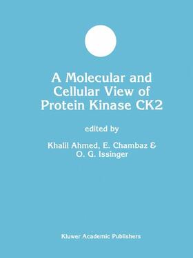 Ahmed / Issinger / Chambaz |  A Molecular and Cellular View of Protein Kinase CK2 | Buch |  Sack Fachmedien
