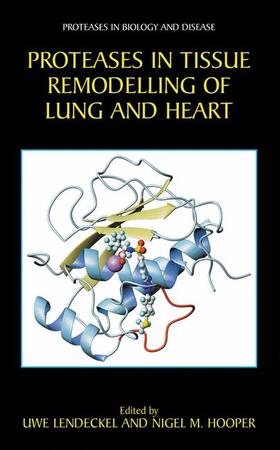 Hooper / Lendeckel |  Proteases in Tissue Remodelling of Lung and Heart | Buch |  Sack Fachmedien