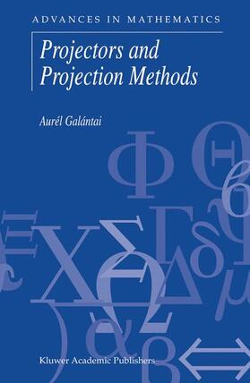 Galántai |  Projectors and Projection Methods | Buch |  Sack Fachmedien