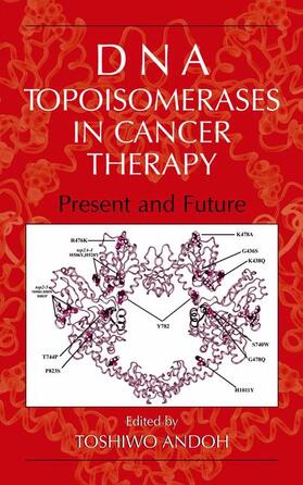 Andoh |  DNA Topoisomerases in Cancer Therapy | Buch |  Sack Fachmedien