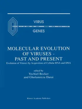 Darai / Becker |  Molecular Evolution of Viruses ¿ Past and Present | Buch |  Sack Fachmedien