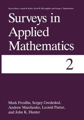 Freidlin / Gredeskul / Pastur |  Surveys in Applied Mathematics | Buch |  Sack Fachmedien