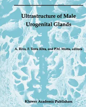 Riva / Motta / Testa Riva |  Ultrastructure of the Male Urogenital Glands | Buch |  Sack Fachmedien