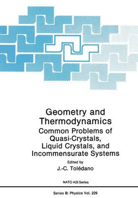 Tolédano |  Geometry and Thermodynamics | Buch |  Sack Fachmedien