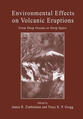 Gregg / Zimbelman |  Environmental Effects on Volcanic Eruptions | Buch |  Sack Fachmedien