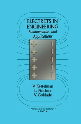 Kestelman / Goldade / Pinchuk |  Electrets In Engineering | Buch |  Sack Fachmedien