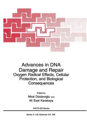 Karakaya / Dizdaroglu |  Advances in DNA Damage and Repair | Buch |  Sack Fachmedien