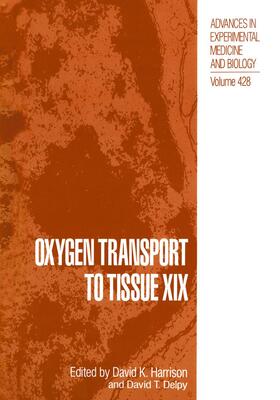 Delpy |  Oxygen Transport to Tissue XIX | Buch |  Sack Fachmedien