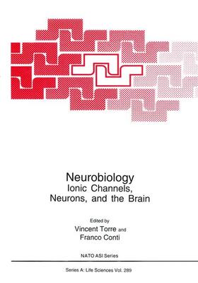 Torre / Conti |  Neurobiology | Buch |  Sack Fachmedien