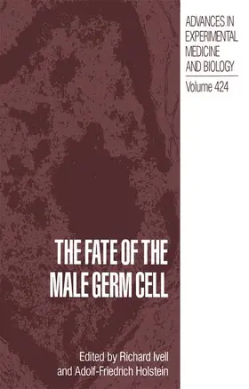 Holstein / Ivell |  The Fate of the Male Germ Cell | Buch |  Sack Fachmedien