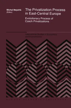 Mejstrík |  The Privatization Process in East-Central Europe | Buch |  Sack Fachmedien