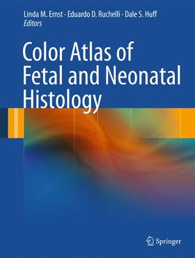 Ernst / Ruchelli / Huff |  Color Atlas of Fetal and Neonatal Histology | Buch |  Sack Fachmedien