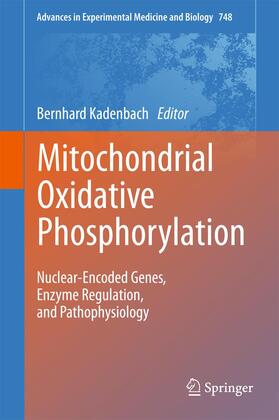 Kadenbach |  Mitochondrial Oxidative Phosphorylation | Buch |  Sack Fachmedien