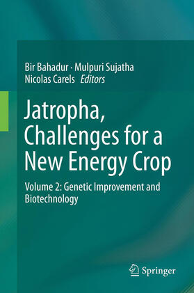 Bahadur / Sujatha / Carels |  Jatropha, Challenges for a New Energy Crop | eBook | Sack Fachmedien